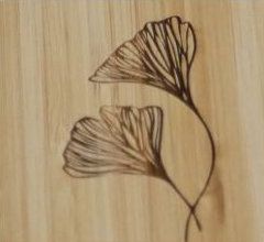 Design 5 (Blommor)